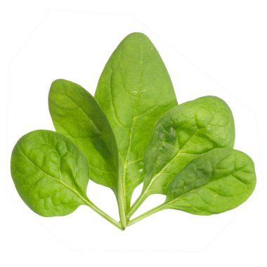 yığılmış bebek ıspanak