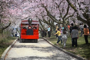 Şehir Parkı