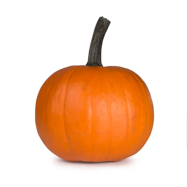 Calabaza — Foto de Stock