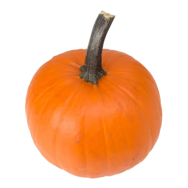 Pumpkin — Stock Photo, Image