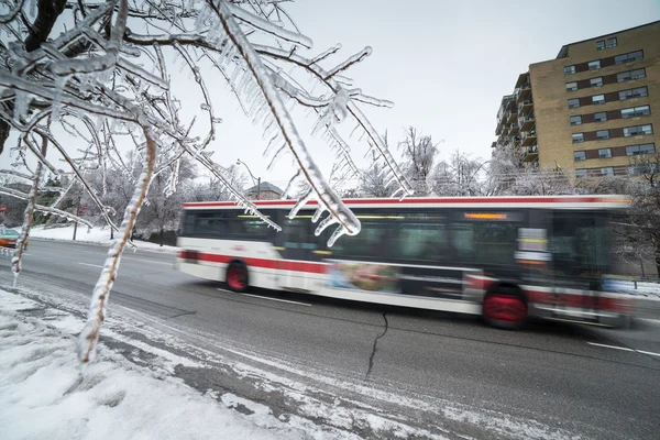 Ice Storm — Stock Photo, Image