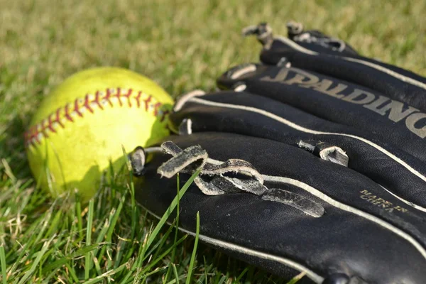 Baseball Ball Baseball Black Leather Glove Lying Green Grass — Stock Photo, Image