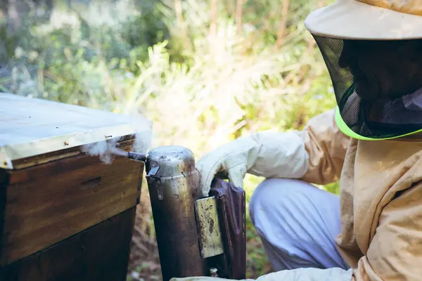 養蜂家の制服を着た白人の先輩が煙で蜂を落ち着かせようとしている 養蜂やアピールや蜂蜜の生産の概念は — ストック写真