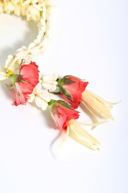 Flower çelenk içinde Tay