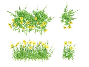 3d Render Brush Tree Isolated  on white