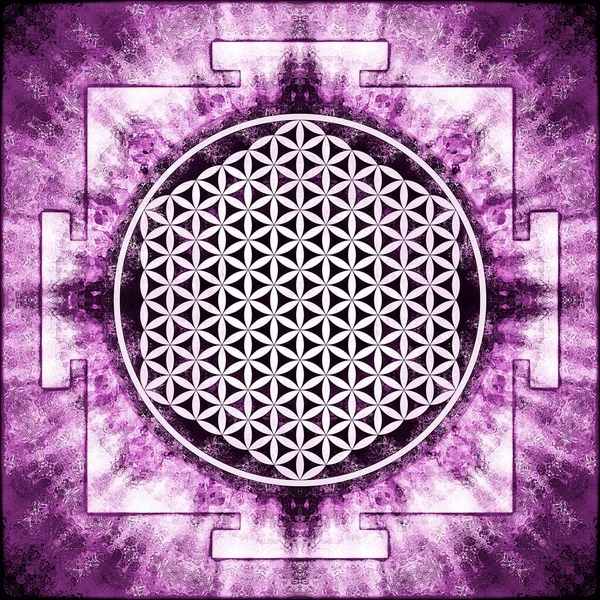 Иллюстрация Сакрального Геометрического Цветка Живого Символа — стоковое фото