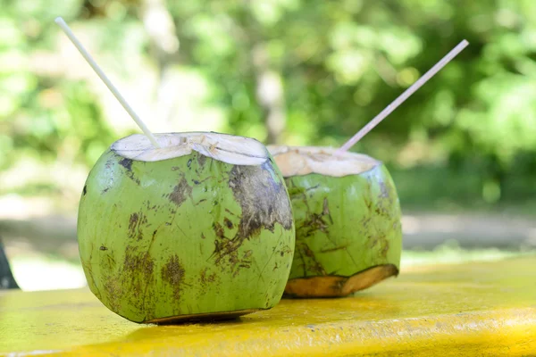 Fresh Coconut — Stock Photo, Image