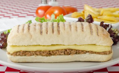 ton balığı