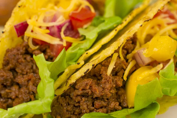 Hovězí tacos — Stock fotografie