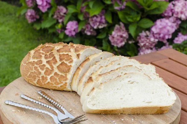 Тигриный хлеб — стоковое фото