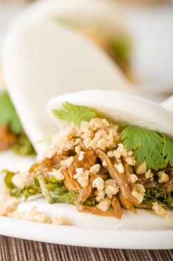 guatr bao