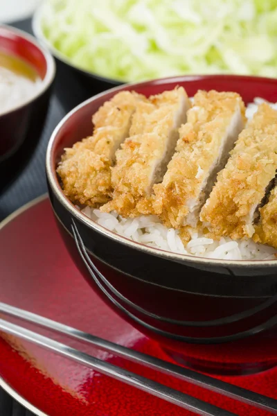 Tonkatsu — Stockfoto