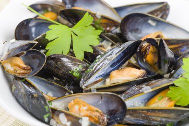 Moules Marinieres
