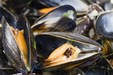 Moules Marinieres