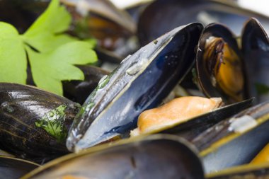 Moules Marinieres