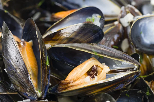 Moules Marinieres — Stock Photo, Image