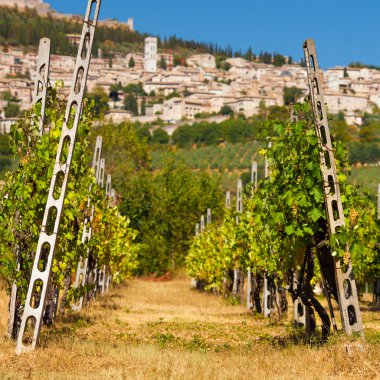 Bağ feryat Rocca Maggiore Umbria, Assisi sırasında Sıcak Su
