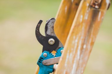 Bahçe Secateurs arka planda kulübede Bahçe ile detay