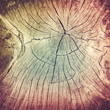 Soluk renk arka plan ağaç karter Doğal dokulu tonda