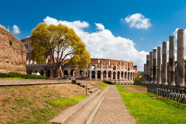 Colosseum güneşli yaz gün boyunca — Stok fotoğraf