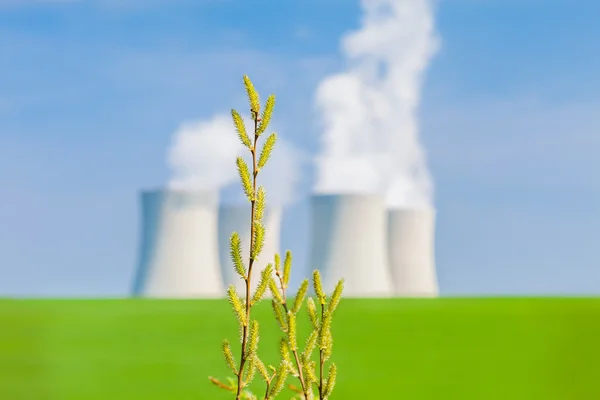 Détail d'une floraison printanière avec une centrale nucléaire dans le Bac Image En Vente