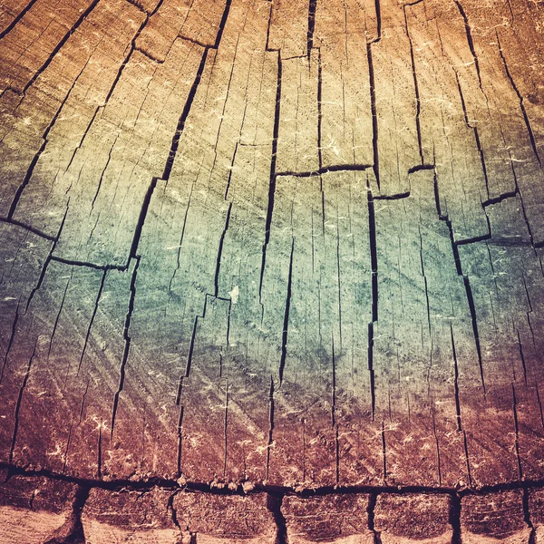 Arrière-plan du puisard d'arbre tonique de couleur fanée avec la texture naturelle Images De Stock Libres De Droits