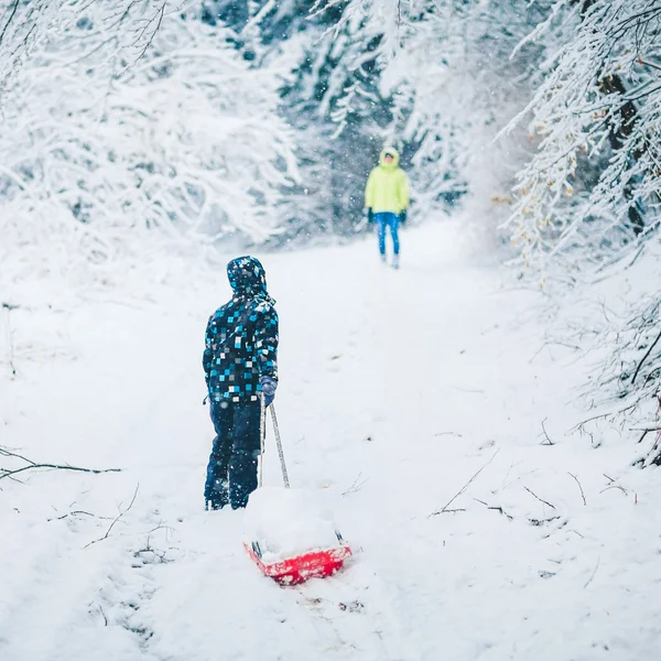 少年は彼をドラッグしてボブスレーで雪に覆われた森の中、 ストック写真