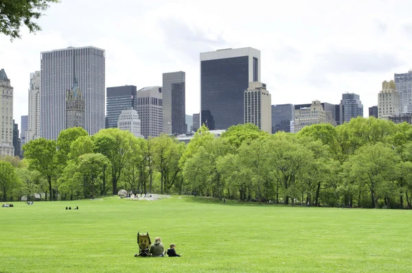 Central Park glade Midtown Mahnattan New York Stockfoto