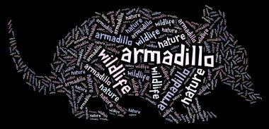 Armadillo wordcloud