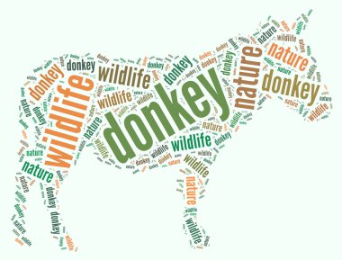 eşek wordcloud
