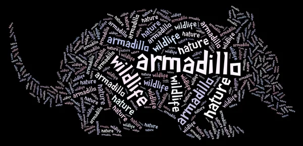 Armadillo wordcloud — Stock Photo, Image