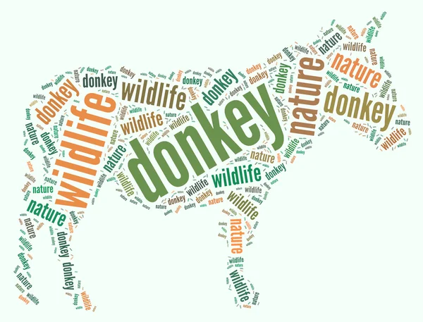 Donkey wordcloud — Stock Photo, Image