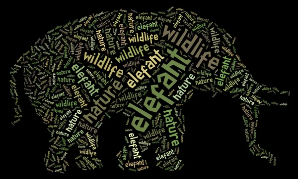 Elefante wordcloud — Fotografia de Stock