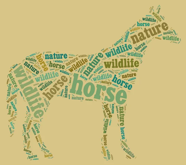 Paard wordcloud — Stockfoto