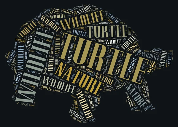 Turtle wordcloud — Stock Photo, Image