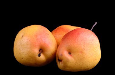 siyah üzerine izole sarı-kırmızı armut