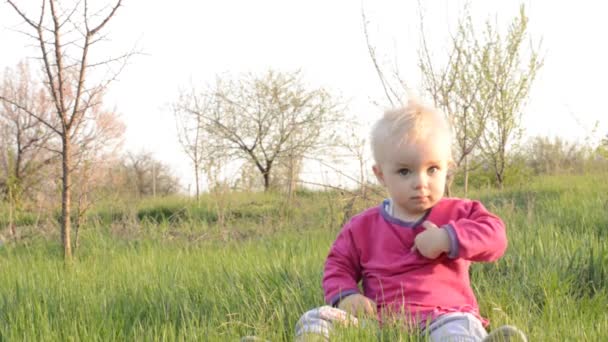 Bébé est assis sur une herbe, tir de poupée — Video