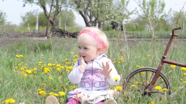 Cute baby on bicycle. Dolly shoot. — Stock Video