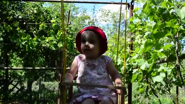 Schattig klein babymeisje spelen in een schommel — Stockvideo