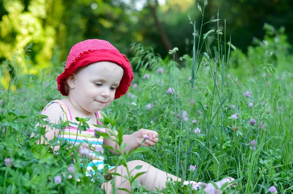 Cute dziewczynka siedzi w polu zielonym — Zdjęcie stockowe