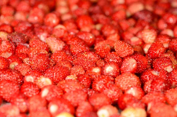 Strawberries background — Stock Photo, Image