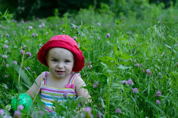 Cute dziewczynka siedzi w polu zielonym — Zdjęcie stockowe
