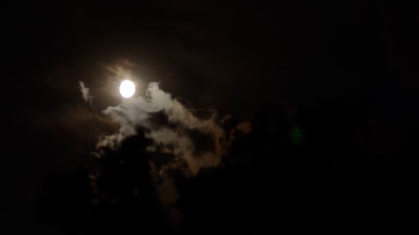 Zeitraffer beim Mond mit Wolken — Stockvideo