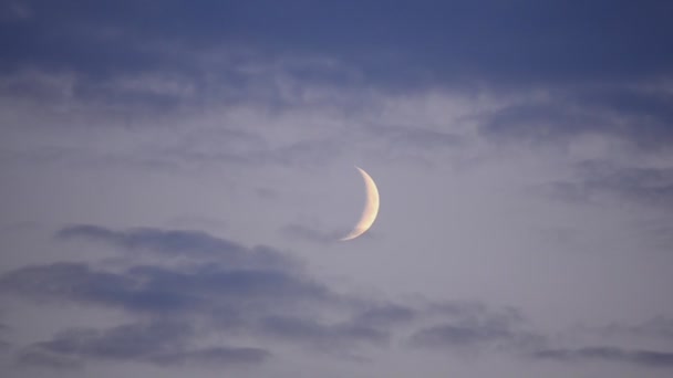 Zeitraffer beim Mond mit Wolken — Stockvideo