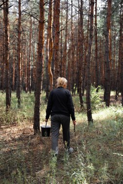 Güneşli bir günde ormanda bir kadın. Çam ağaçları. Doğaya yakın, temiz hava ile zihinsel iyileşme. Dijital detoks, doğaya bağlı değil. Hayatta kalma becerileri
