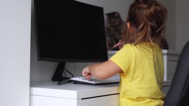 Niño en edad preescolar en casa usando pc. Oficina en casa con niños pequeños en casa. Gato mascota con niños. Trabajo desde casa durante la cuarentena. — Vídeos de Stock