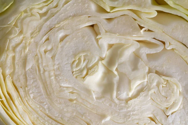 Close up macro shot of white cabbage texture — Stock Photo, Image