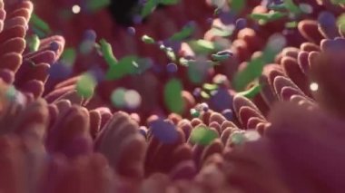 Mikrobiyom bağırsak fabrikaları ve mikrobiyota. Gut Health 3D görüntüleme. Bağırsakları fabrikalı Microvilli. 