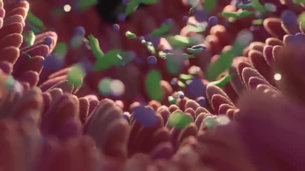 Fábricas de intestino de microbioma e microbiota. Saúde intestinal renderização 3d. Microvilli com fábricas no intestino — Vídeo de Stock