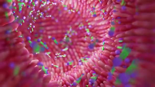 Microbiome intestine factories and microbiota. Gut health 3d render. Microvilli with factories in intestine — Vídeo de Stock